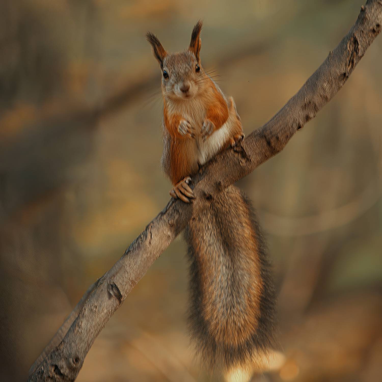 , Булатов Дмитрий
