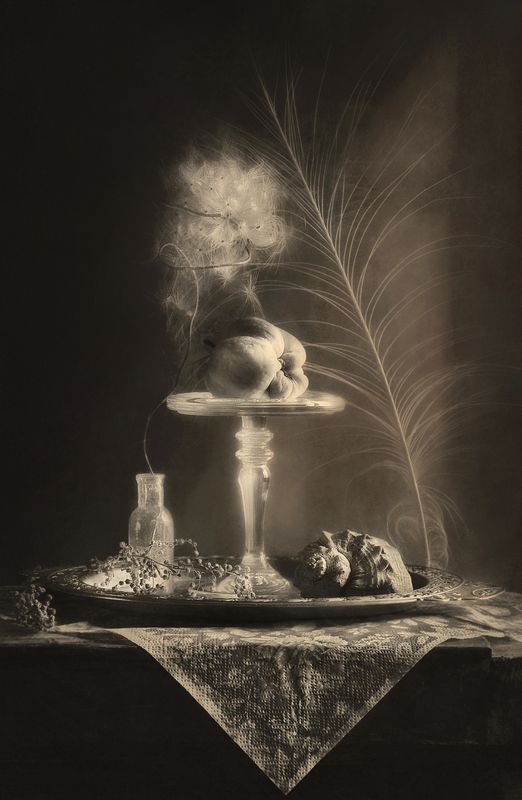 натюрморт, монохром, настроение, яблоко, still life Баловень судьбы photo preview