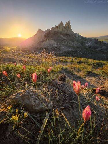 Фототуры в Мангистау