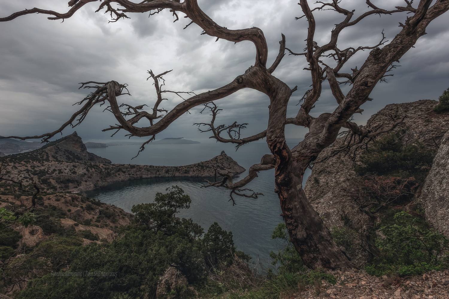 крым, новый свет, судак, пейзаж, горы, море, landscape, crimea, крымский пейзаж, Щепотина Татьяна
