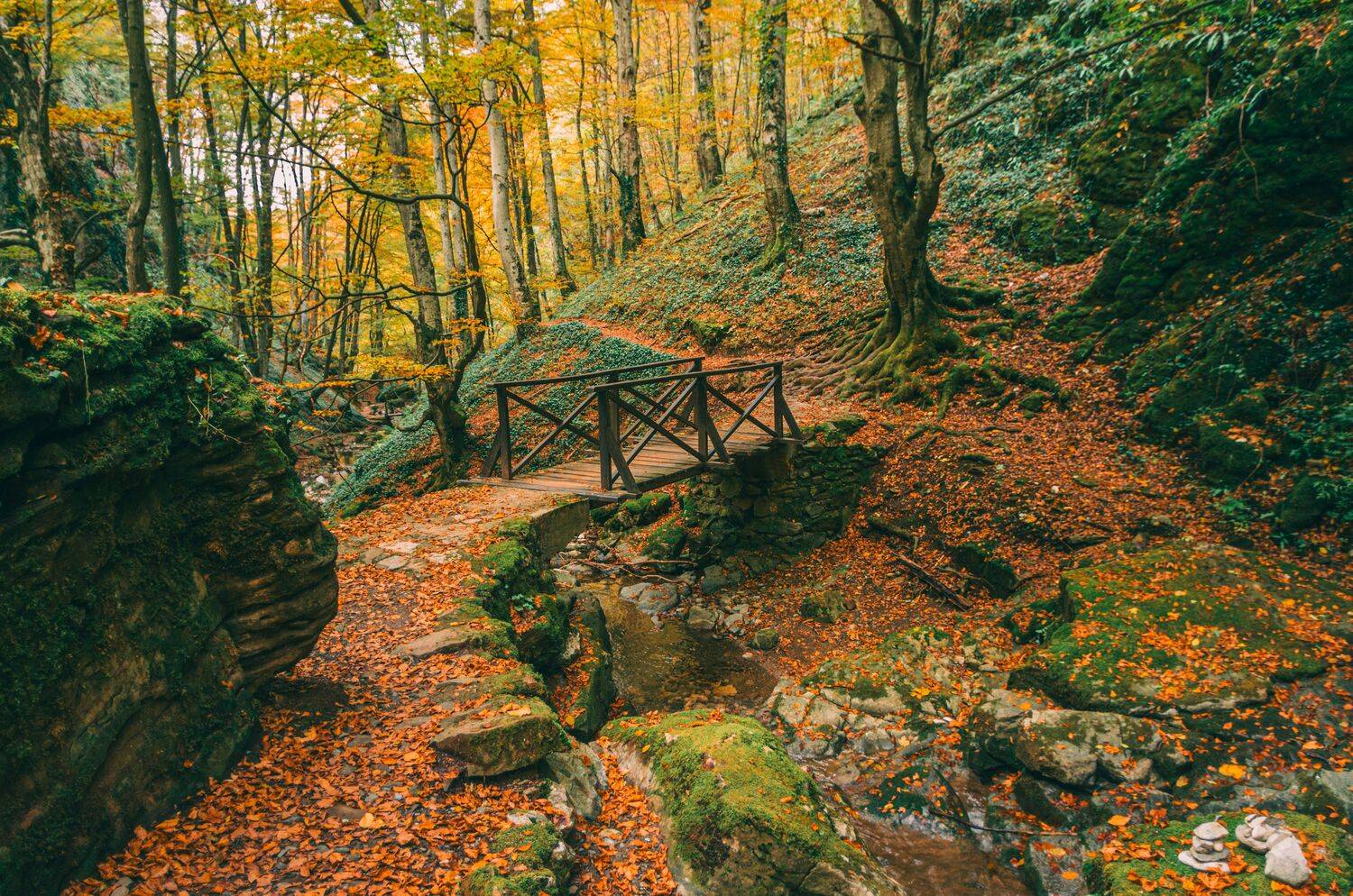 , Николов Андриян