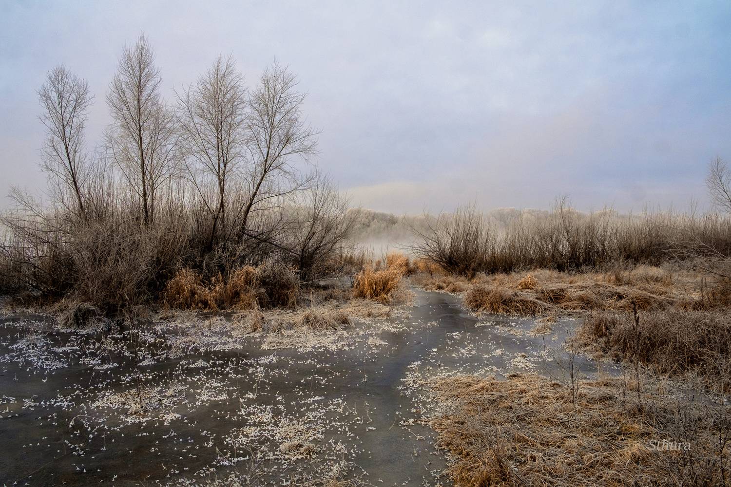 В ноябре.. Автор: Александр Строков осень мороз лед иней туман природа пейзаж, Александр Строков