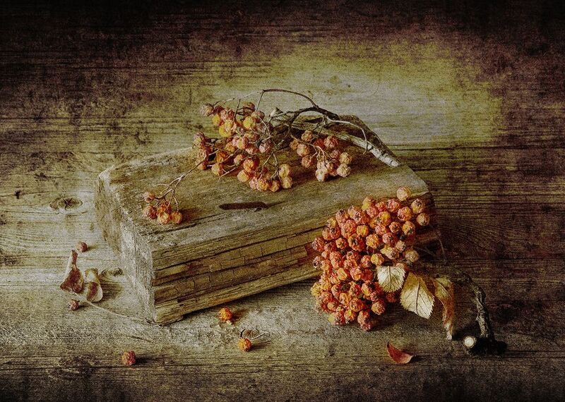 рябина, ягоды, кисти, красные, дощечка, гвоздь photo preview