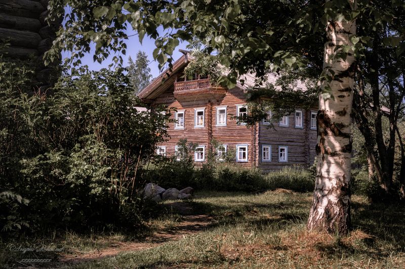 деревенский пейзаж, домик в деревне, бревенчатый дом Хорошо в деревне летомphoto preview