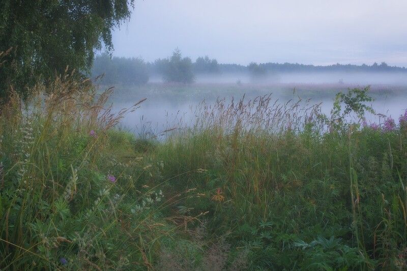 осень, природа, река, речка, утро, раннее, тропинка, туман, берег, травы, изобилие К реке тропинка. фото превью