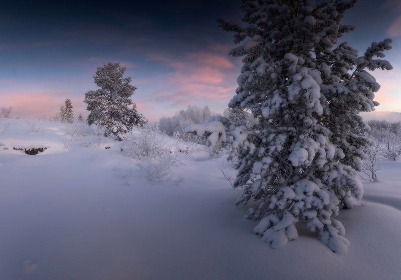 Первые морозы в полярную ночьphoto preview