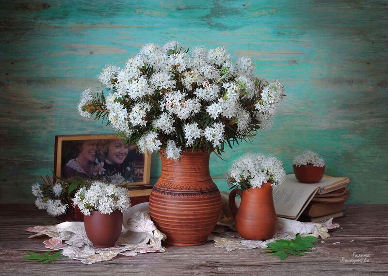 букет, багульник, керамика, кувшин, книги, шкатулка, салфетки 60-еphoto preview