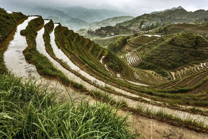 Рисовые террасы Лунцзиphoto preview