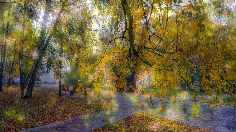 Утроphoto preview