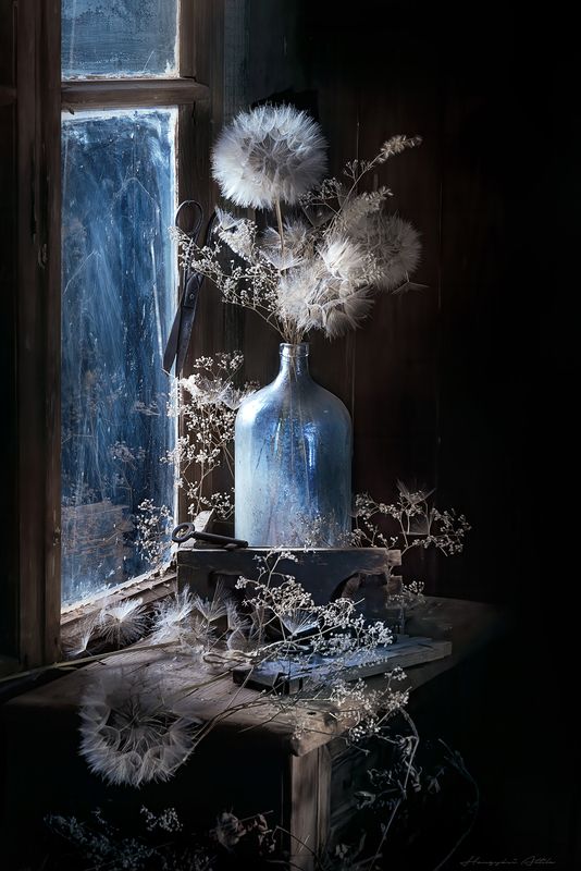 Silent stil lifephoto preview