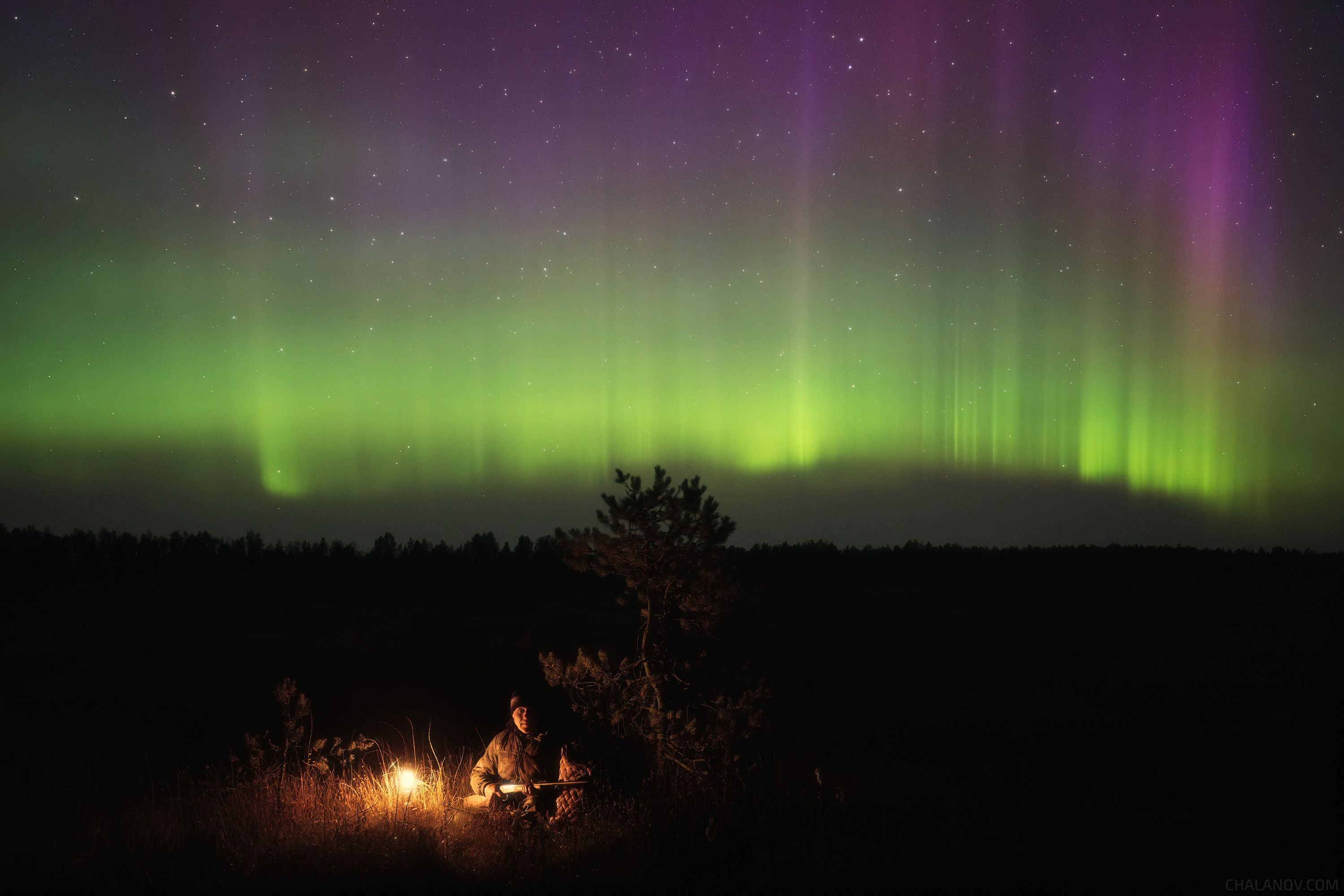 пейзаж, северное сияние, север, ночь, охотник Под светом Северного сиянияphoto preview