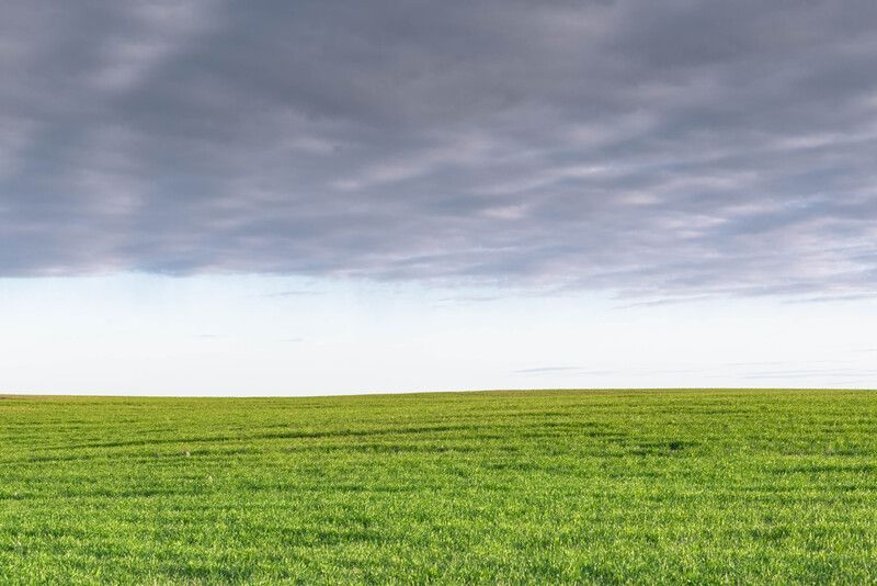 Пасторальный минимализмphoto preview