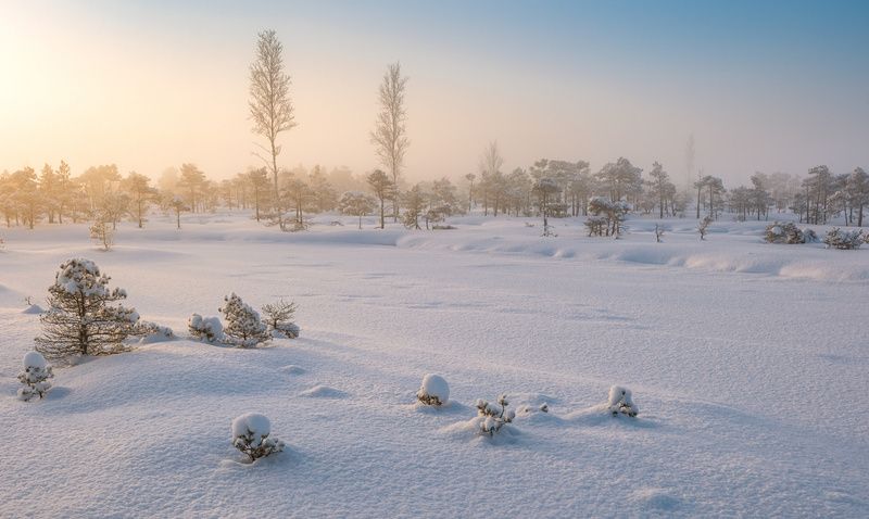 Зимнее утро фото превью