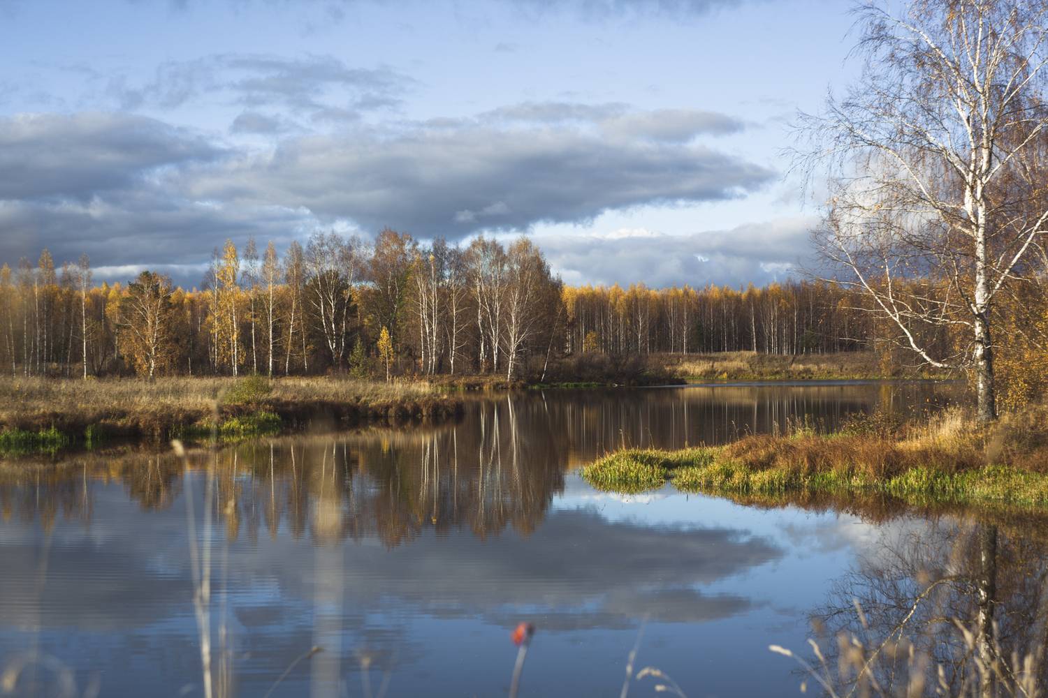 , Евгений Цветков