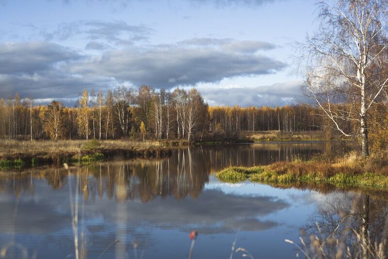 Осенняяphoto preview