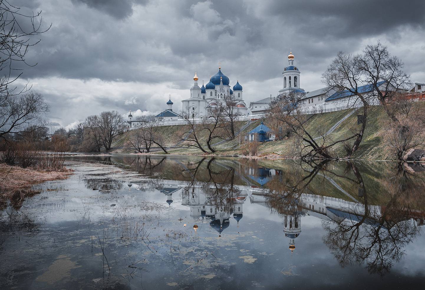 , Анатолий Зверев