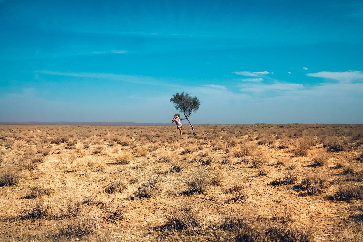 One tree. One sky, One moment. Автор: Болгов Руслан woman, portrait, fashion, beauty, outdoors, Болгов Руслан
