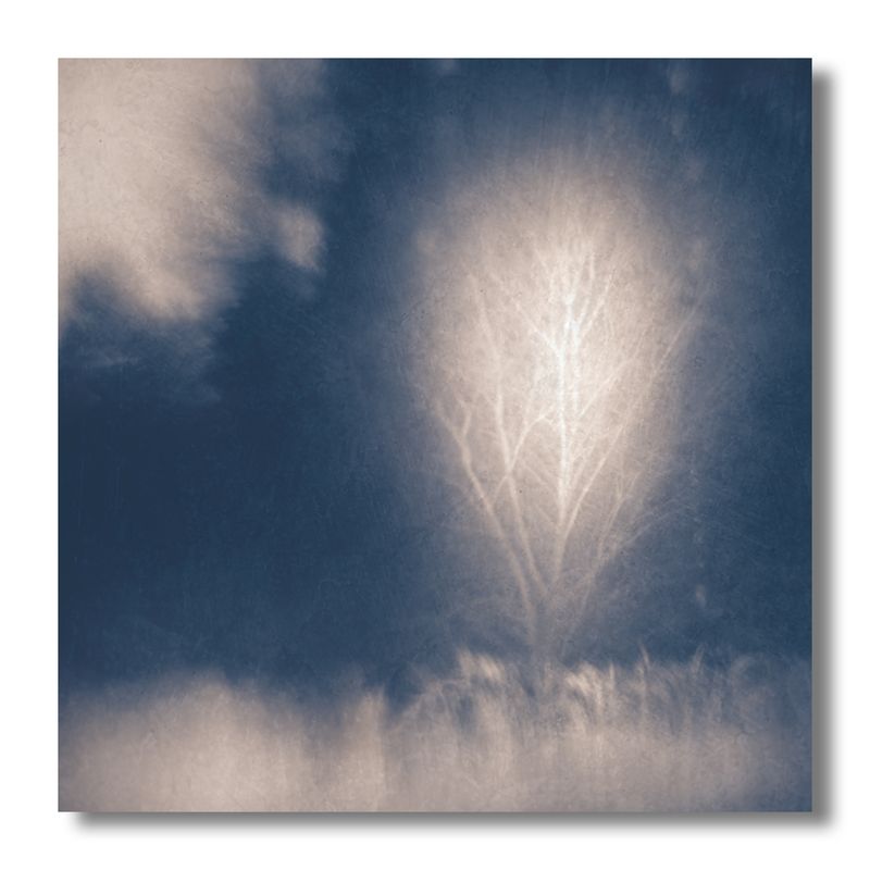 пикториализм, монокль, арт-фотография, художественная фотография, пикториальный пейзаж, пикториальная фотография ___photo preview