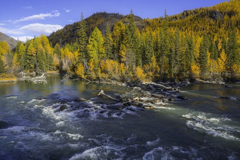 россия, горный алтай, река чуя, осень Осенняя Чуяphoto preview