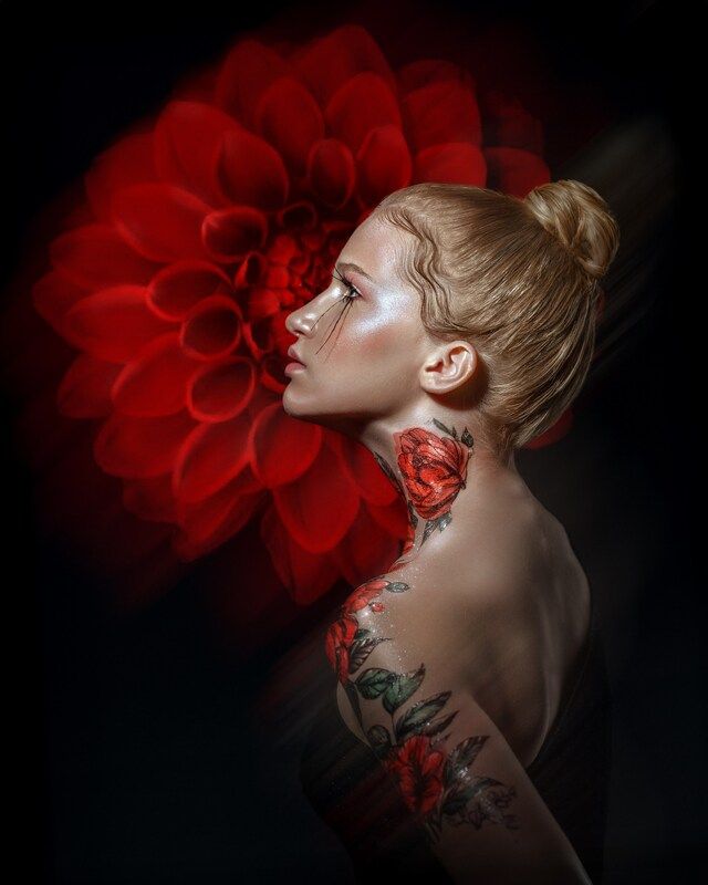 Фарфоровые макиphoto preview