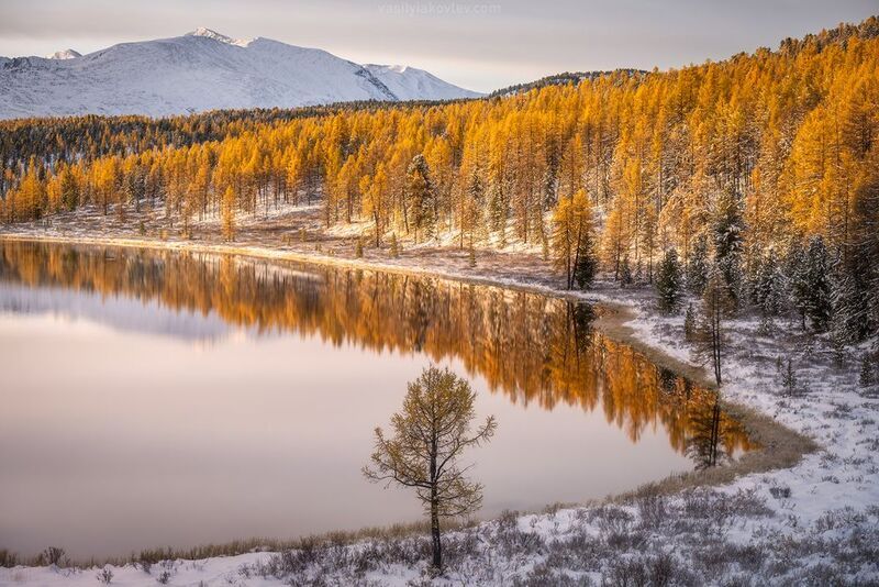 алтай, фототур Утро на озере Киделюphoto preview