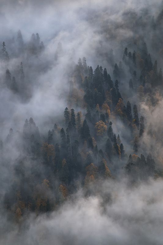 горы, лес, облака, туман, осень Сумрачный покровphoto preview