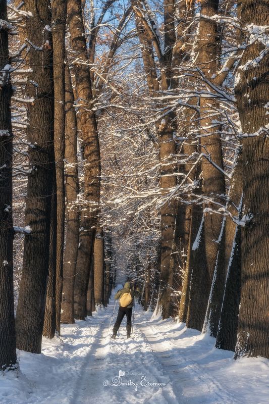 Зимние зарисовки...photo preview