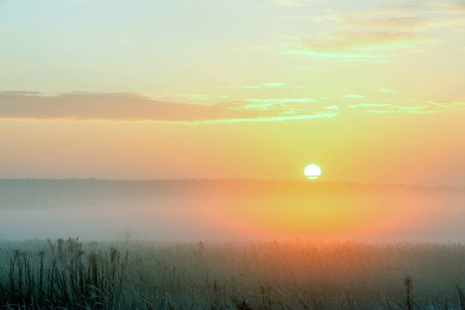 Декабрьский туман. Автор: Valeriy , Valeriy