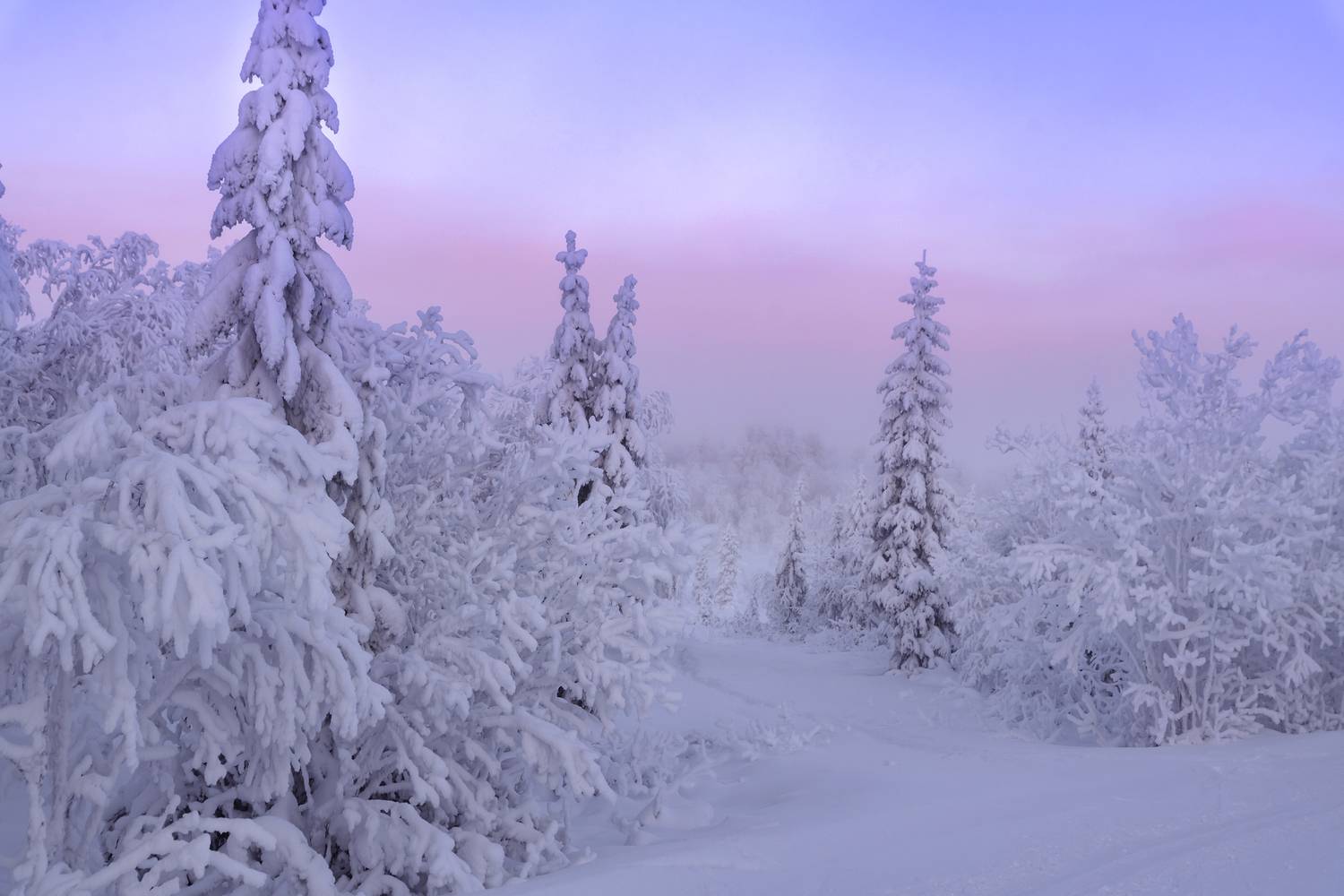 кольский,мурманск,зима,, Ермохина Наталья
