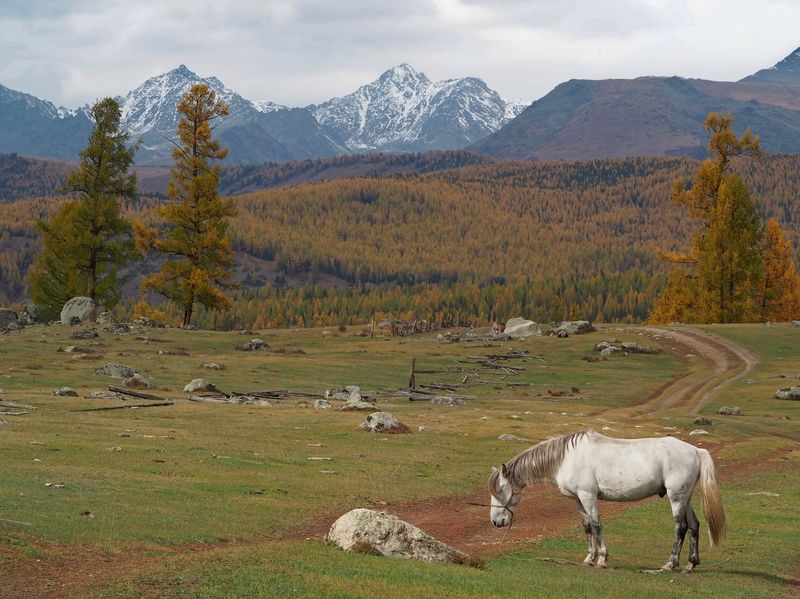 На распутье...photo preview