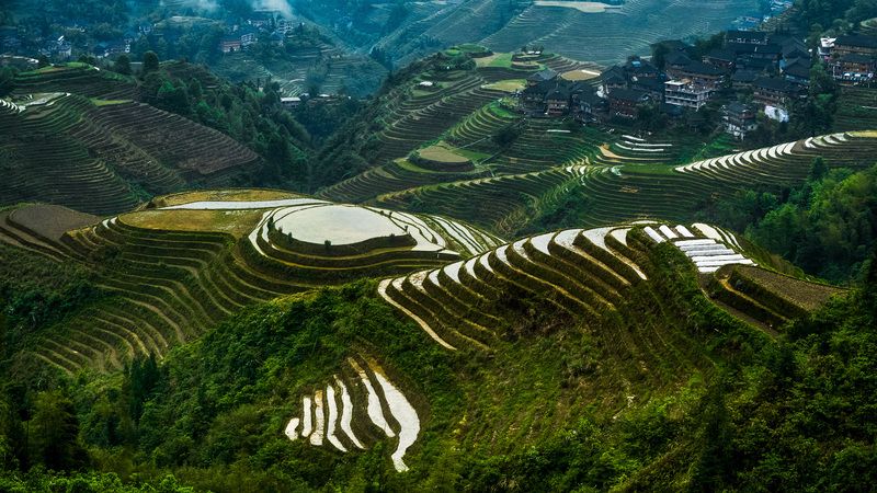 Рисовые террасы Лунцзи ранней веснойphoto preview