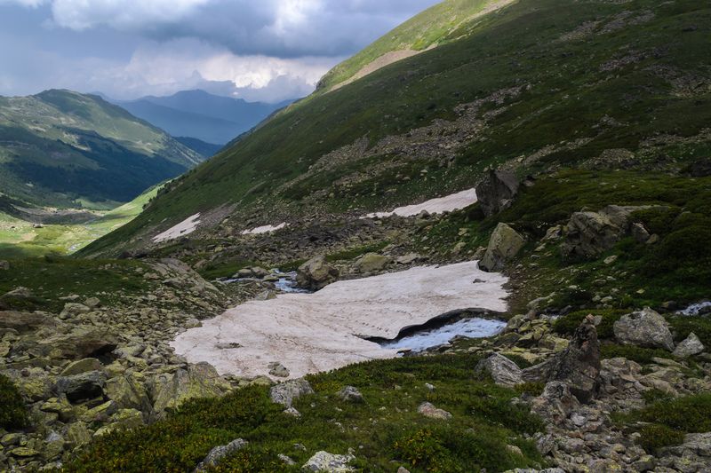 Снежник.photo preview