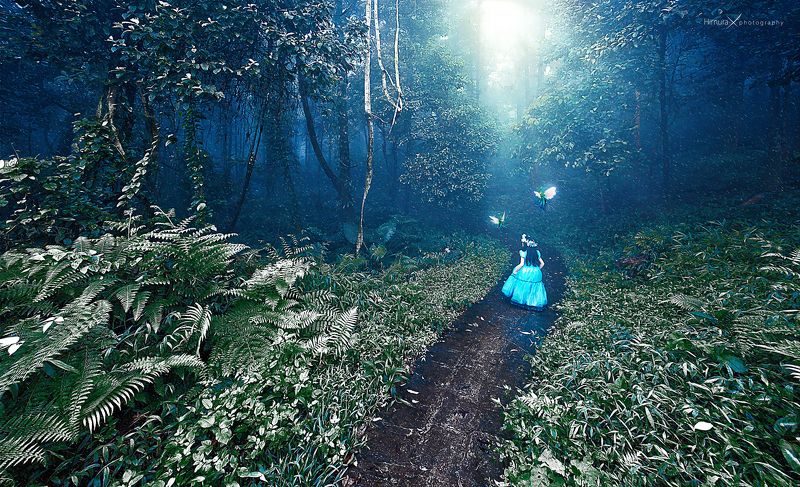 baby fine art in forestphoto preview