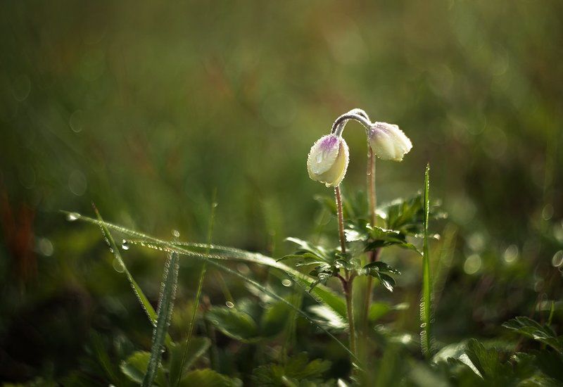 Love is...photo preview