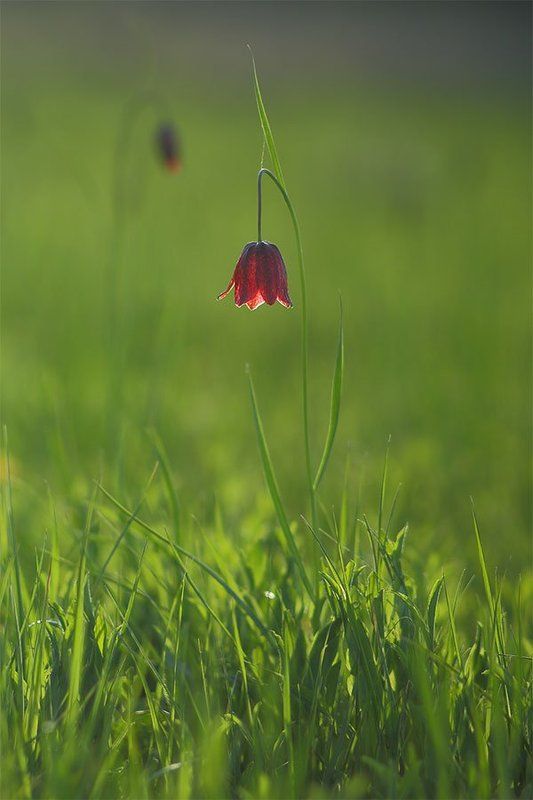 Фонарьphoto preview