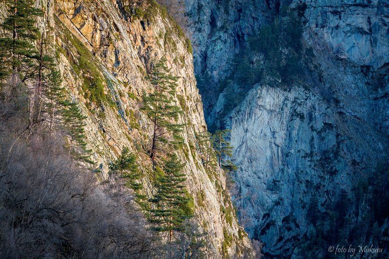 кавказ, цейское ущелье, горы, путешествия, природа, пейзаж Цейское ущельеphoto preview