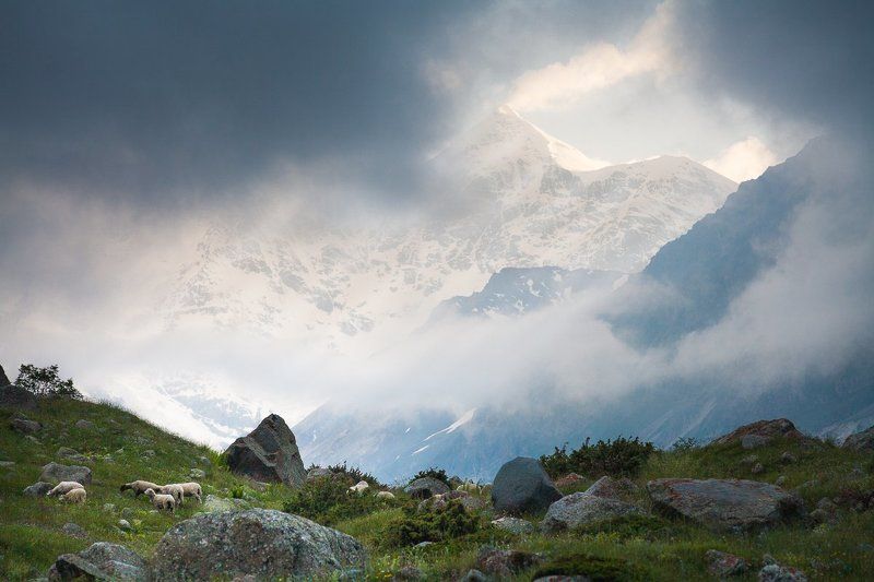 горы, кавказ, Безенги, Гестола, рассвет, облака, солнце, природа Красавица Гестолаphoto preview