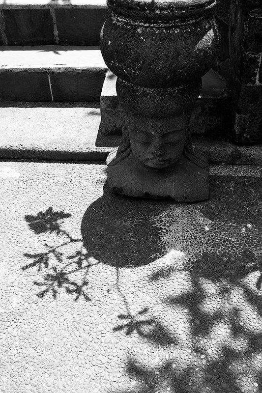 тени, саратов, estetmf, shadows,  jungle,bali ,бали, стрит, street, frangipani, франжипани тени Балиphoto preview