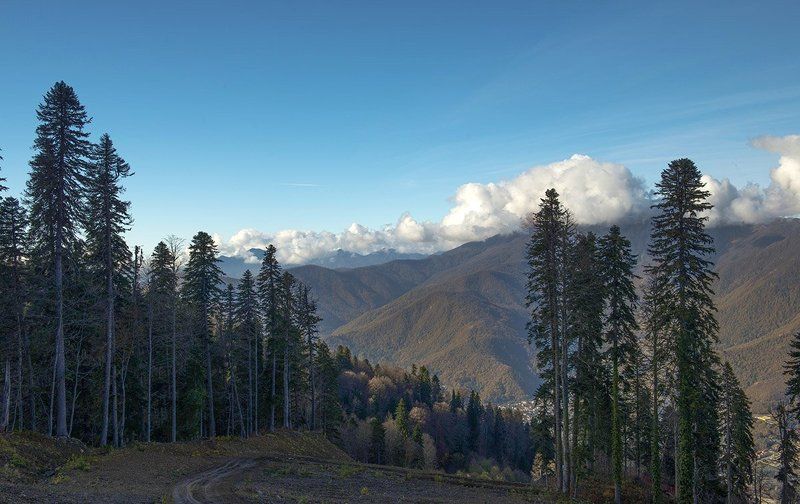 Красная Полянаphoto preview