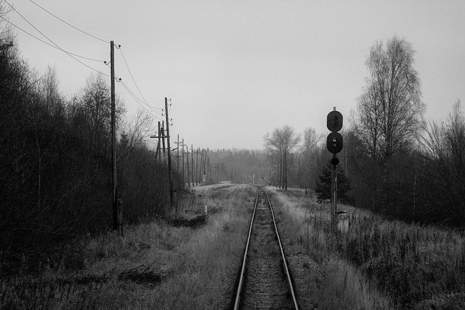 Горовастица. Автор: Денис Доронин железная дороога, черно-белое, чб, станция, тверская область, деревня, горовастица, Денис Доронин