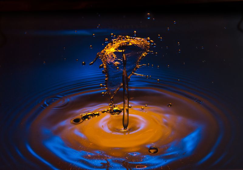 новые каплиphoto preview