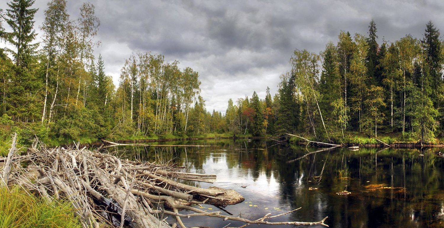 Сентябрь на Уксунйоки. Автор: Виктор , Виктор