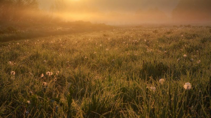 Однажды...photo preview