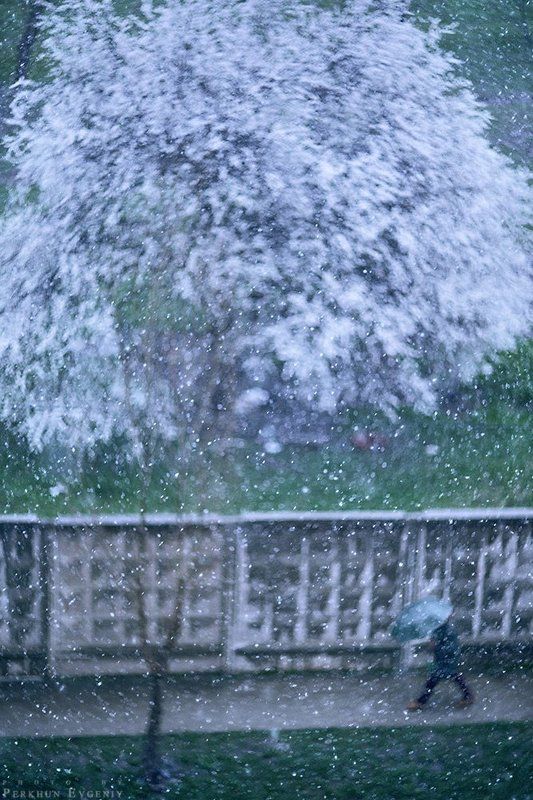 снег, ураган, человек, зонт Снежный ураганphoto preview