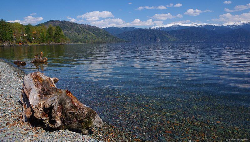 алтай, весна, май, телецкое озеро, алтын-кёль Май на Золотом озереphoto preview