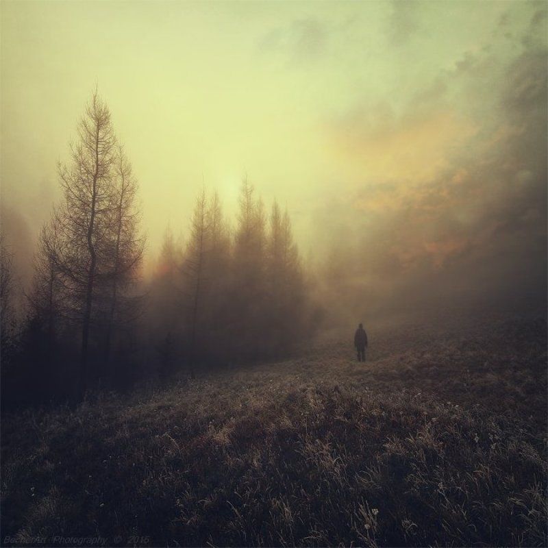 Location:Silence (Part.VI.)photo preview