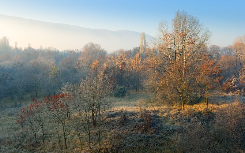 Morning Lightphoto preview