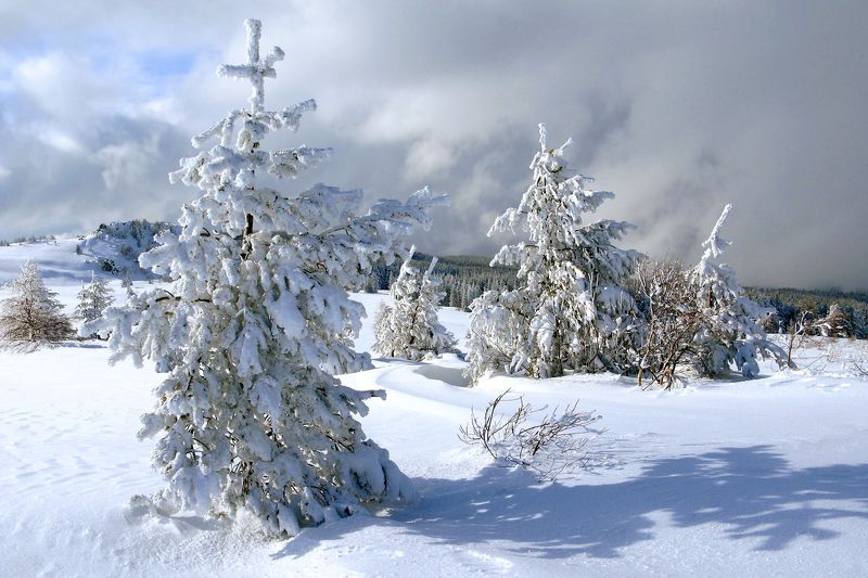 On the Plateauphoto preview