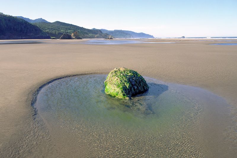 Tidal Poolphoto preview