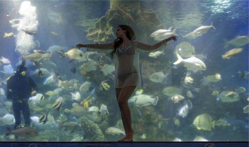 Русалкаphoto preview